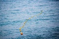 Buoys strung together and floating on water Royalty Free Stock Photo