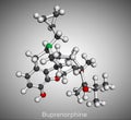 Buprenorphine morphinane alkaloid molecule. It is semisynthetic opioid analgesic, used for management of severe pain