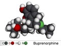 Buprenorphine morphinane alkaloid molecule. It is semisynthetic opioid analgesic, used for management of severe pain