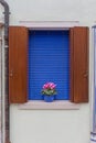 Burano Flower Pot Royalty Free Stock Photo