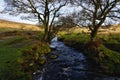 Burbage Brook flowing through Padley Gorge in winter