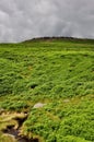 Burbage valley