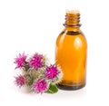 Burdock oil in glass bottle and burdock flowers isolated on white background Royalty Free Stock Photo