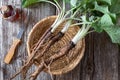 Burdock plants with roots and with burdock tincture Royalty Free Stock Photo