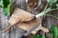 Burdock root on a cutting board