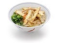 Burdock tempura udon noodles soup, japanese food Royalty Free Stock Photo