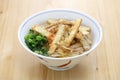 Burdock tempura udon noodles soup, japanese food Royalty Free Stock Photo