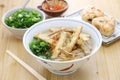 Burdock tempura udon noodles soup, japanese food Royalty Free Stock Photo