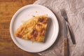 Burek on a plate, traditional Balkan dish