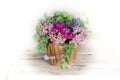 Burevestnik beautiful flowers in basket Royalty Free Stock Photo