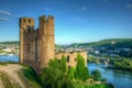 Burg (Fortress) Ehrenfels, Ruedelsheim, Hessen, Germany