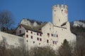 Burg Neu-Bechburg Royalty Free Stock Photo