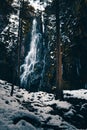 Germany, Black Forest Nature waterfall Burgbachwasserfall in the wilderness of pristine forest covered with snow and ice in winter Royalty Free Stock Photo