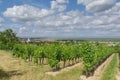 Burgenland,Neusiedler See,Austria Royalty Free Stock Photo