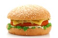 Burger Royalty Free Stock Photo