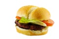 Beefburger with lettuce and tomato Royalty Free Stock Photo