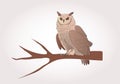 An owl sitting on the branch, watching seriously and wisely Royalty Free Stock Photo
