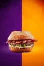 Burger bacon with crispy bun in a colorful background - Isolated