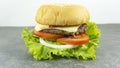 Burger beef cheese props decoration with Green salad