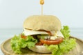 Burger beef cheese props decoration with Green salad Royalty Free Stock Photo