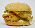 Burger - Big juicy burger on white background - Rounders
