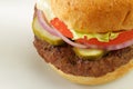 Burger on bun Royalty Free Stock Photo