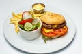 Burger cheddar cheese with vegetable salad and french fries, cheese sauce Royalty Free Stock Photo