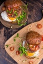 Burger with cherry tomato, green sprout and fried egg Royalty Free Stock Photo