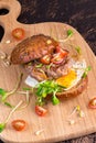 Burger with cherry tomato, green sprout and fried egg Royalty Free Stock Photo