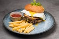 Burger with chicken cutlet and egg with french fries and ketchup Royalty Free Stock Photo