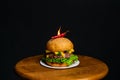 Burger with chili pepper with fire Royalty Free Stock Photo