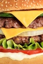 Burger close up Royalty Free Stock Photo