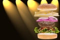 Burger concept