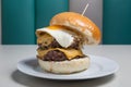 Burger with egg Royalty Free Stock Photo