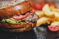 Burger with fries Royalty Free Stock Photo