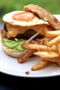 Burger and Fries