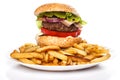 Burger and fries Royalty Free Stock Photo