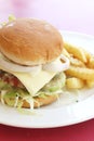 Burger and Fries on a Plate Royalty Free Stock Photo