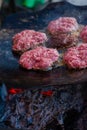 Burger Grilling on Fire.Homemade Hamburgers. Grill Meatballs. Making Hamburgers on a Grill Outdoor.Barbecue Grill Party