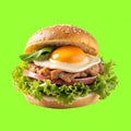 Burger with ham, patty, egg and lettuce leaves