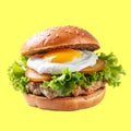 Burger with ham, patty, egg and lettuce leaves