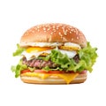 Burger with ham, patty, egg and lettuce leaves