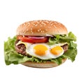 Burger with ham, patty, egg and lettuce leaves