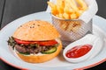 Burger, hamburger with french fries, ketchup, mayonnaise, fresh Royalty Free Stock Photo