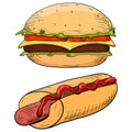 Burger and hot dog. Hand drawn colored sketch. Vector illustration isolated on white background. Royalty Free Stock Photo