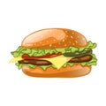 Burger isolated on white background. Cheeseburger vector illustration.