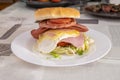 Burger with a lot of protein. Fried egg, pork, sausage, ham and double melted cheese, and pepperoni Royalty Free Stock Photo