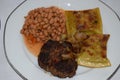 burger, Maultaschen and white bean salad Royalty Free Stock Photo