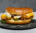 Burger with meat cutlet, hamburger isolated on grey background. Tasty Hamburger. Restaurant dish.