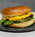 Burger with meat cutlet, hamburger isolated on grey background. Tasty Hamburger. Restaurant dish.